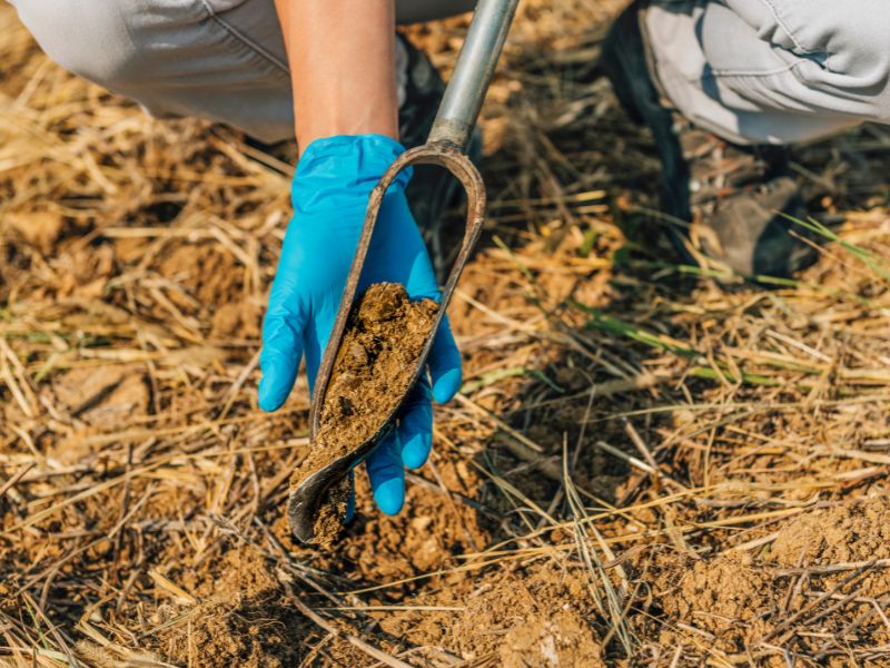 Näytteenotto-ohjeet
