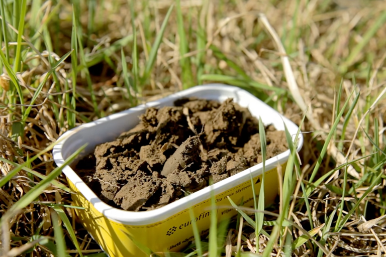 Ohjeet näyttöönottoon