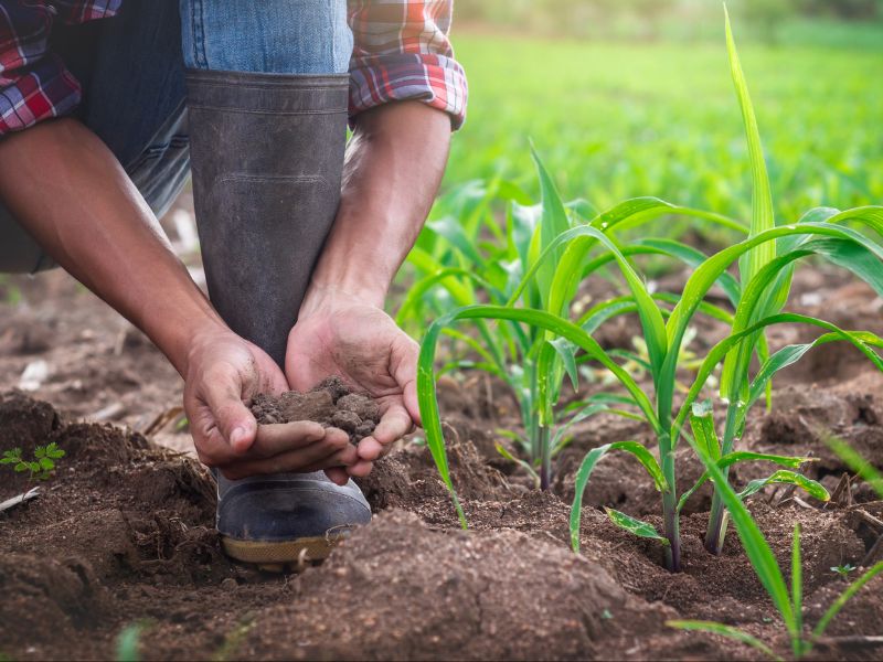 Viljavuustutkimukset