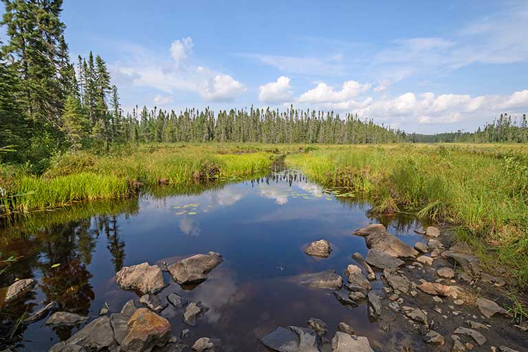 Environmental Consulting