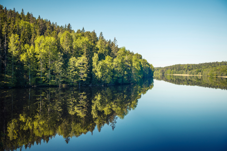 Metsä- ja biotuoteteollisuus