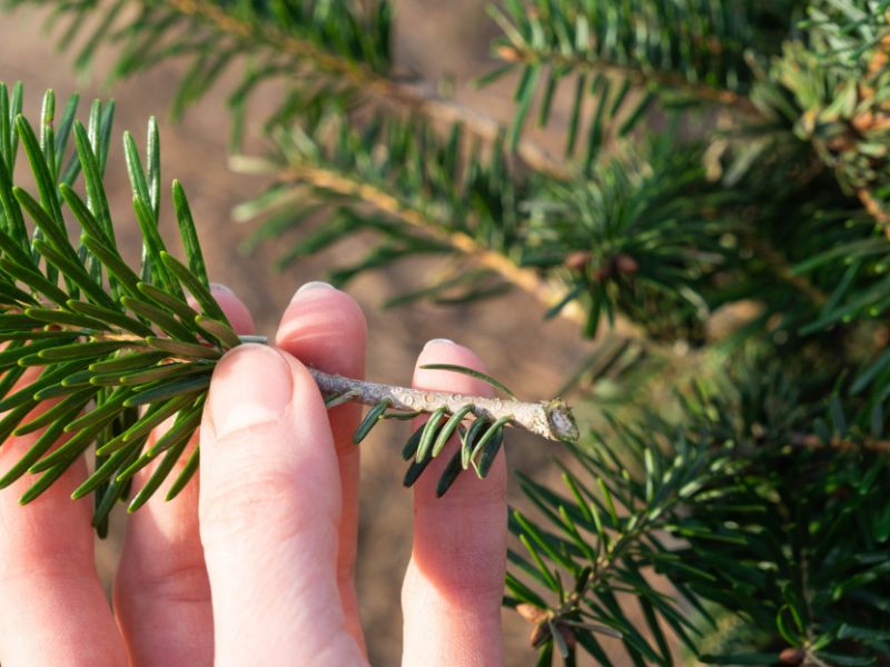 Näytteenotto-ohjeet