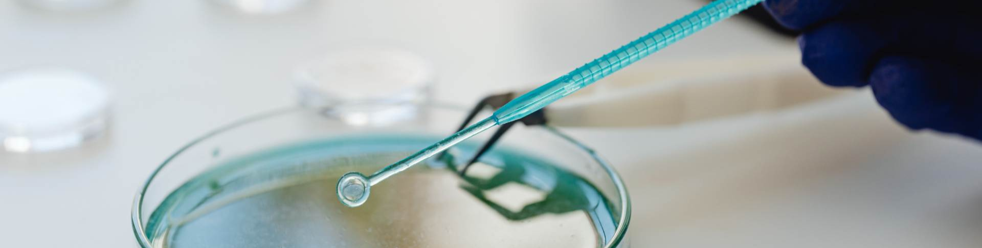 Microbiological Services (1)